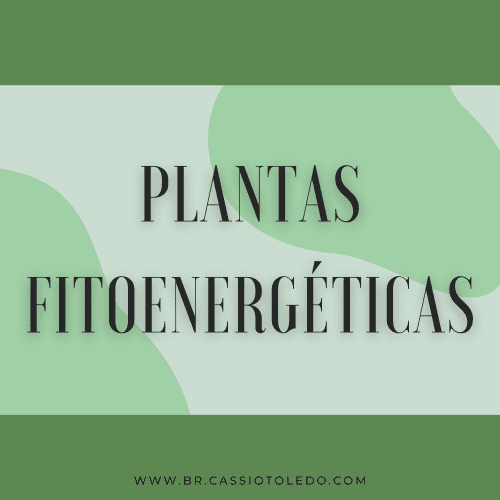 plantas fitoenergéticas
