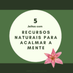 5 jeitos com recursos naturais para acalmar a mente