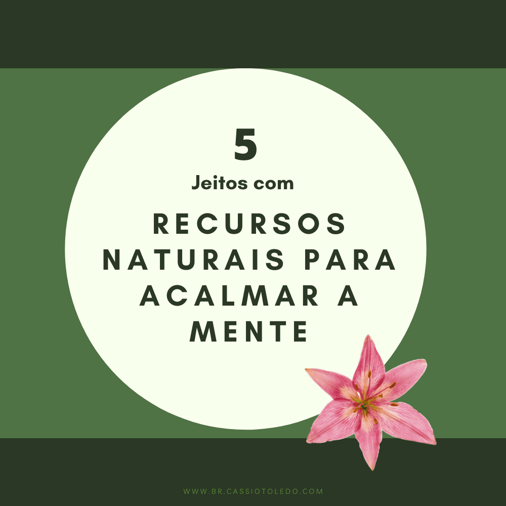 5 Jeitos com Recursos Naturais Para Acalmar a Mente