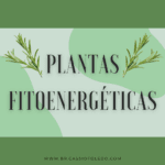 plantas
