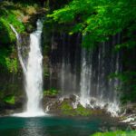 cachoeira com mata verde