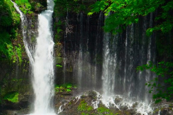 cachoeira com mata verde