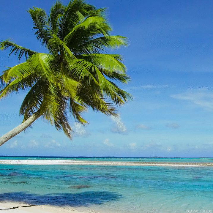 Gif Praia Paradisíaca