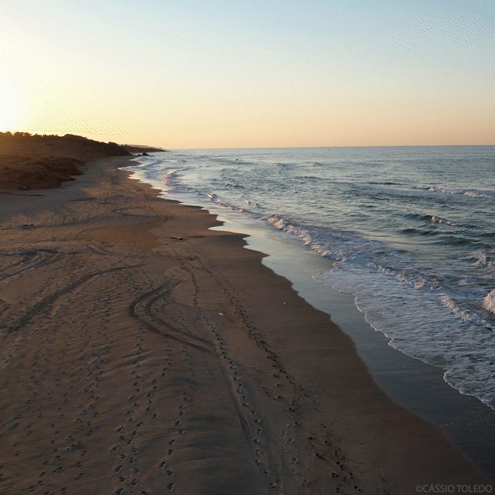 Gif Mar no Fim do Dia